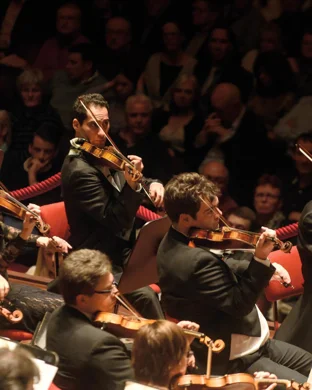 Dupree's Dead Band - Grateful Dead Tribute