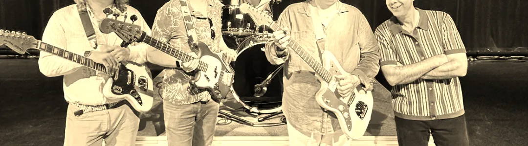 Pet Sounds Live