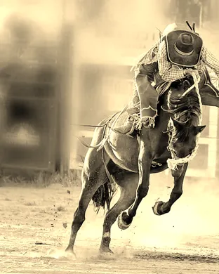 Professional Championship Bull Riders