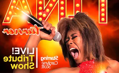 Simply The Best - Tina Turner Tribute