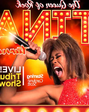 Simply The Best - Tina Turner Tribute