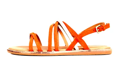The Clarks