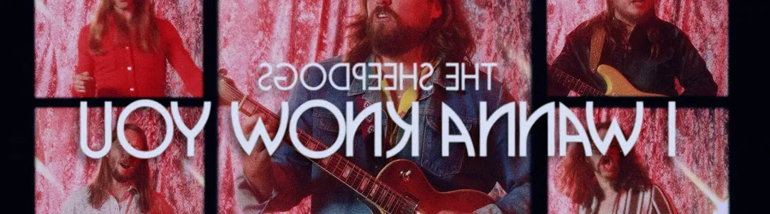 The Sheepdogs