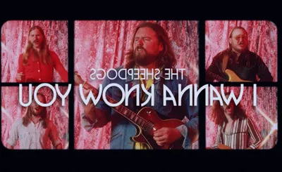 The Sheepdogs