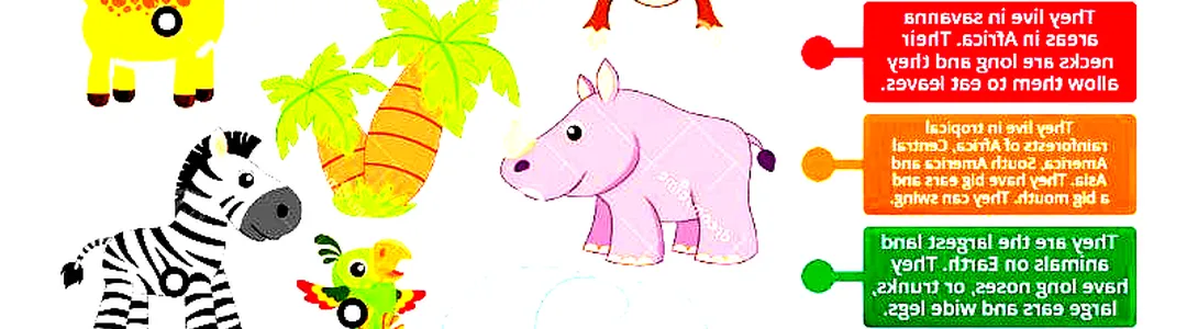 Wild World of Animals Live
