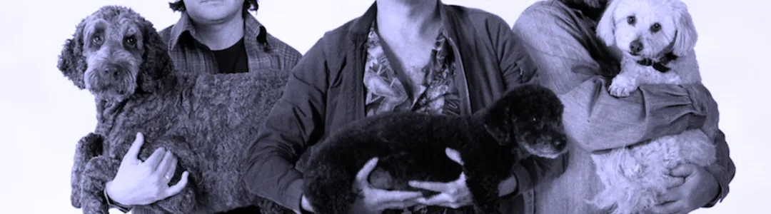 Wolf Parade