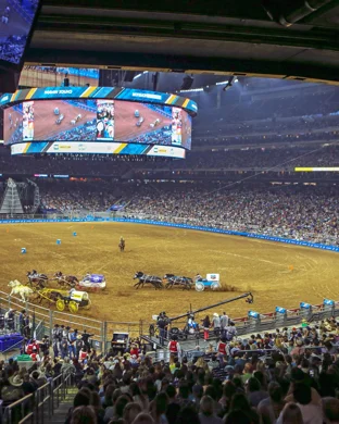 Bull Riding